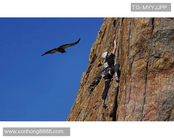 重庆攀岩队的控制策略与训练方法分析探讨攀岩热点